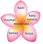 Ayurvedic panchkarm clinic in sinhagad road pune
